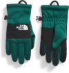 THE NORTH FACE Kids’ Sierra Fleece Etip Gloves, Large