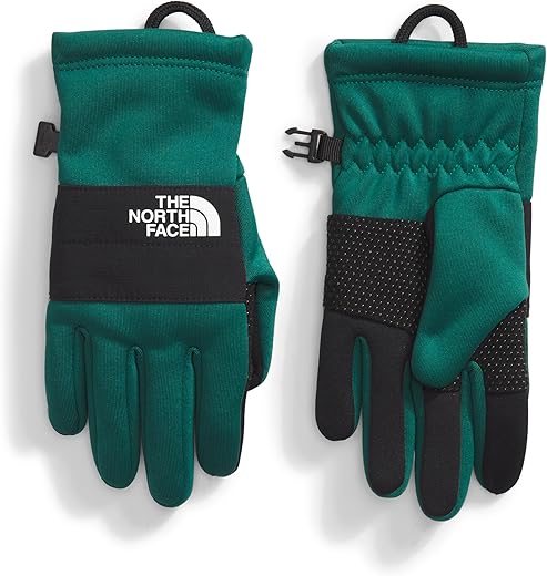 THE NORTH FACE Kids' Sierra Fleece Etip Gloves, Large