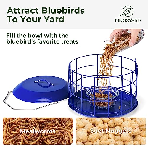 Kingsyard Bluebird Feeder, All Metal, Squirrel Proof - Image 3