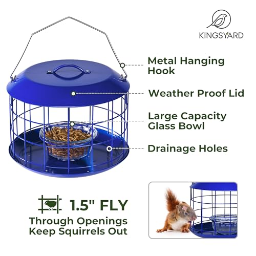 Kingsyard Bluebird Feeder, All Metal, Squirrel Proof - Image 4