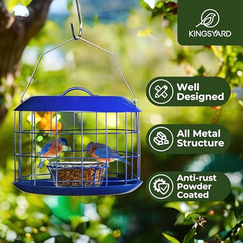 Kingsyard Bluebird Feeder, All Metal, Squirrel Proof - Image 2