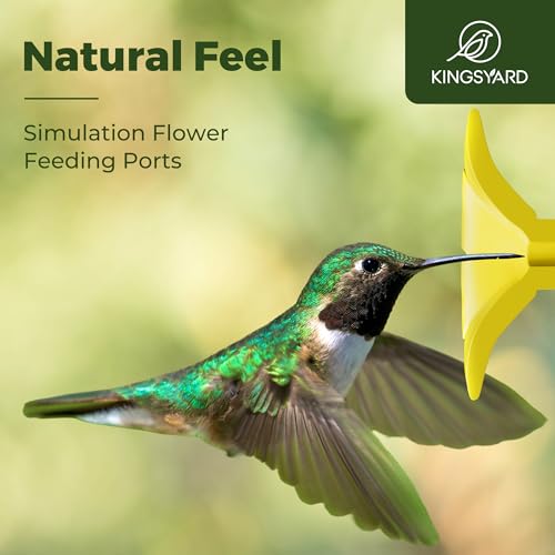 Kingsyard Glass Hummingbird Feeder 6 Ports, 16 Oz - Image 3