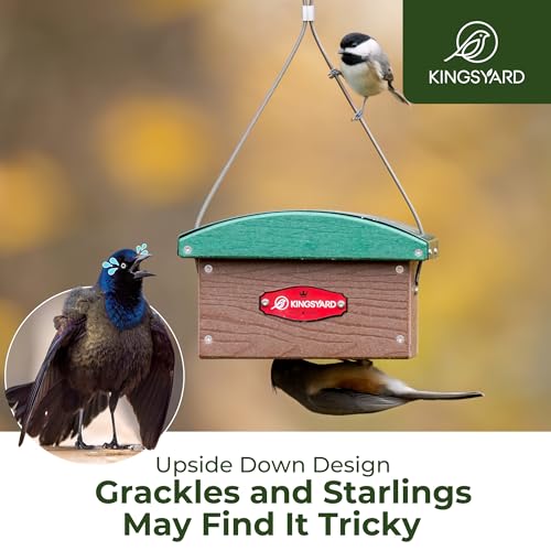 Kingsyard Upside Down Double Suet Feeder, Weatherproof - Image 5