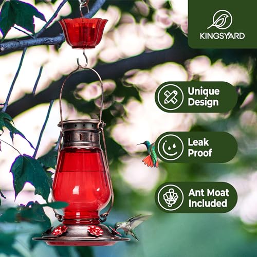 Kingsyard Vintage Lantern Style Glass Hummingbird Feeder - Image 2