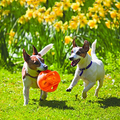 KONG Jumbler Ball Interactive Dog Toy For Play - Image 2