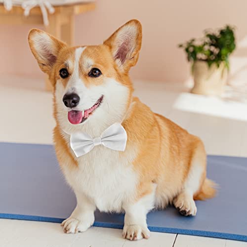 Koolmox Large Adjustable Formal Dog Bowtie Collar - Image 4