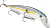 Strike King KVD Jerkbait 3 Hook