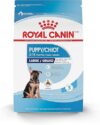 Royal Canin Large Breed Puppy Dry Food, 30 lb Bag