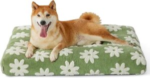 LE SURE Large Dog Bed With Removable Cover