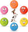 HOLYSTEED Latex Dog Squeaky Toys 6pcs Set