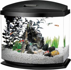 Aqueon LED Minibow Aquarium Starter Kit, 5 Gallon