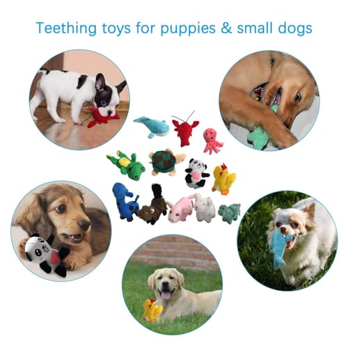 LEGEND SANDY Squeaky Plush Dog Toy Pack - Image 5