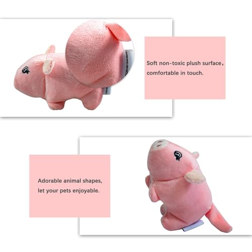 LEGEND SANDY Squeaky Plush Dog Toy Pack - Image 2
