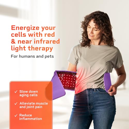 LifePro Red Light Therapy Belt - Infrared Therapy - Image 2