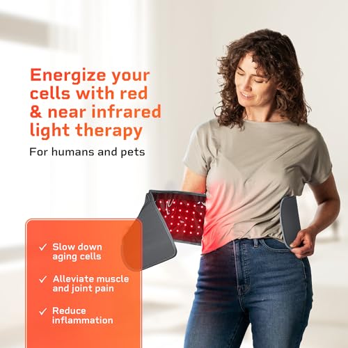 LifePro Red Light Therapy Belt - Infrared Therapy - Image 2