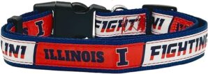 Pets First LSU Tigers Dog Collar, Medium Size