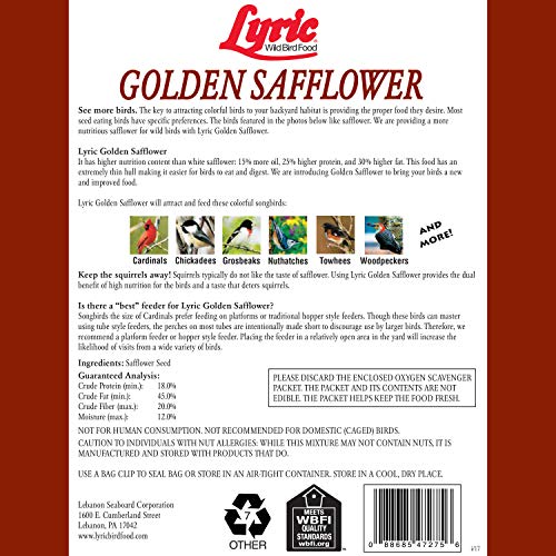 Lyric Golden Safflower Seed - Attracts Birds - Image 3
