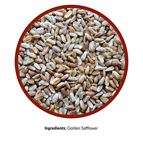 Lyric Golden Safflower Seed - Attracts Birds - Image 5