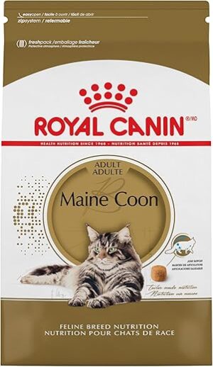 Royal Canin Maine Coon Adult Dry Cat Food