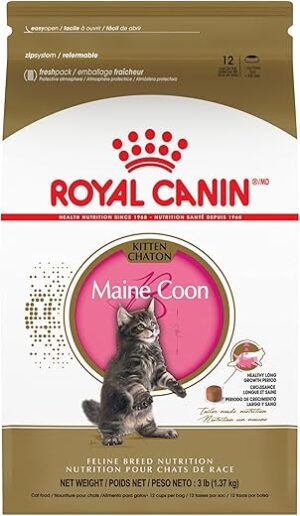 Royal Canin Maine Coon Kitten Dry Food, 3 lb