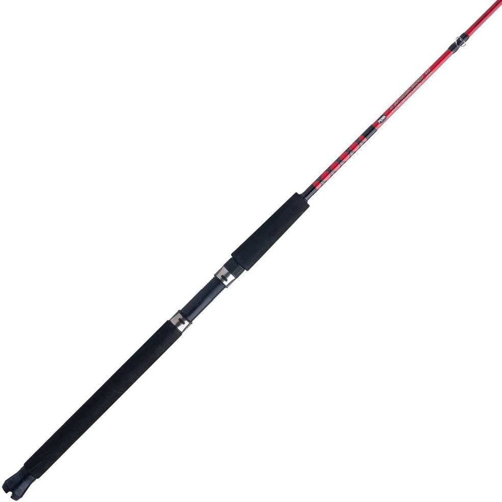 PENN Mariner III Conventional Fishing Rod