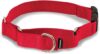 PetSafe Martingale Dog Collar, Quick-Snap Buckle