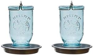 Perky-Pet Mason Jar Wild Bird Waterer 783