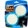 Chuckit! Max Glow Ball Dog Toy, Medium