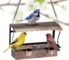 Twinkle Star Metal Bird Feeder Window, Outdoor Hanging