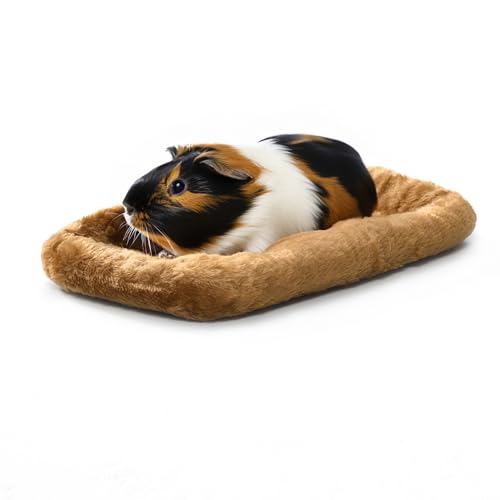 MidWest Homes for Pets Guinea Habitat Plus Cage Bundle - Image 3