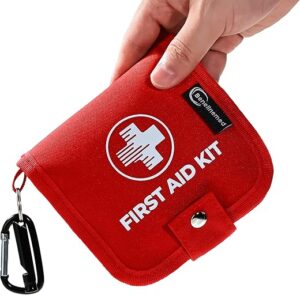Benelinemed Mini First Aid Kit – 137 Piece