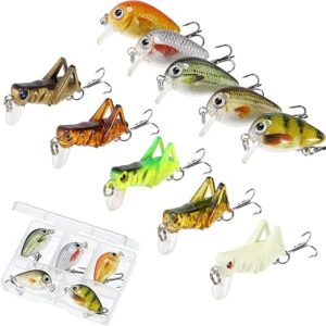 Skylety Mini Fishing Lures with Hooks Box