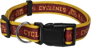 Pets First Missouri Tigers Dog Collar, Medium