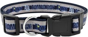 Pets First MLB Pet Medium Tampa Bay Rays Collar