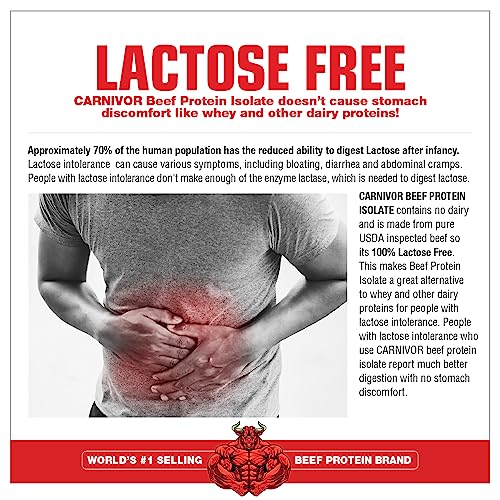 MuscleMeds Carnivor Beef Protein Isolate Powder, Chocolate - Image 5