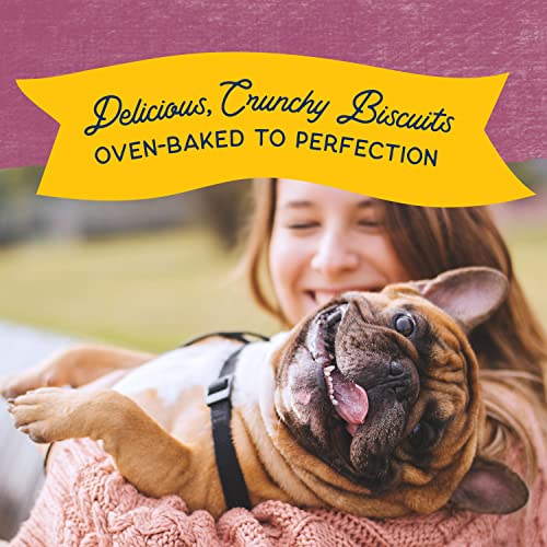 Natural Balance Venison Grain-Free Dog Treats, 14 Ounce - Image 5