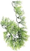 Zoo Med Natural Bushy Australian Maple, Medium