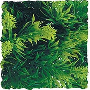 Zoo Med Natural Bushy Malaysian Fern, Small (SZMBU13)