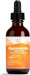 Paramount Pet Health Natural Glucosamine Msm Arthritis Relief Supplement