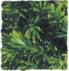 Zoo Med Naturalistic Bush Plant Borneo Star, Large
