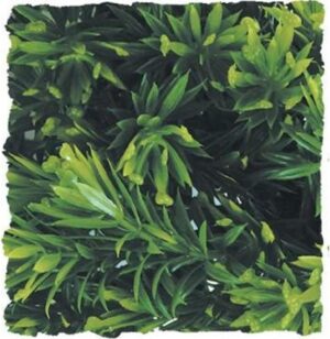 Zoo Med Naturalistic Bush Plant Borneo Star, Large