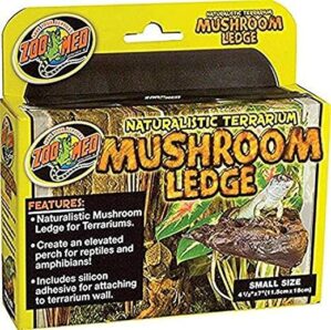 Zoo Med Naturalistic Terrarium Mushroom Ledge Small