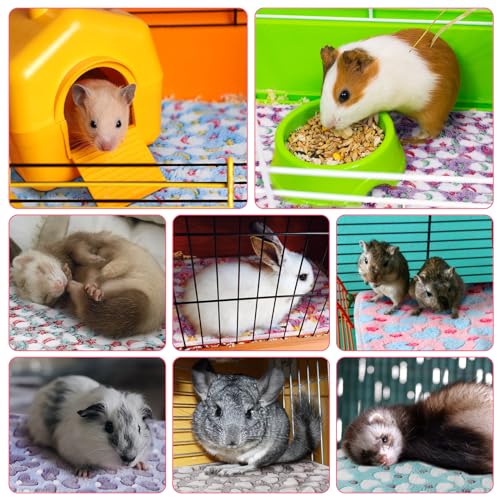 Newwiee Small PET Fleece Blanket Washable Waterproof - Image 5