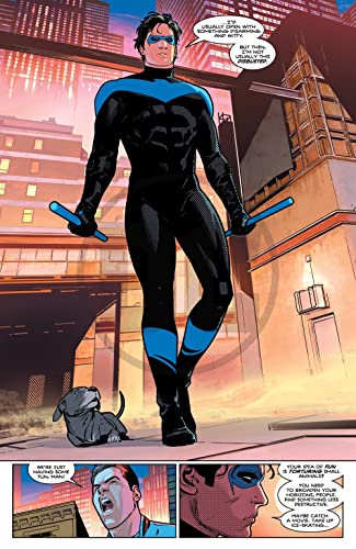 Nightwing 1: Leaping Into The Light - Image 3