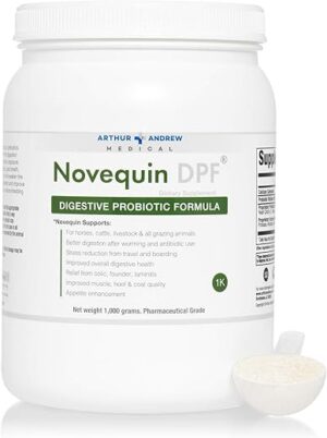 Arthur Andrew Medical Novequin DPF Digestive Probiotic Formula, 1000 Grams