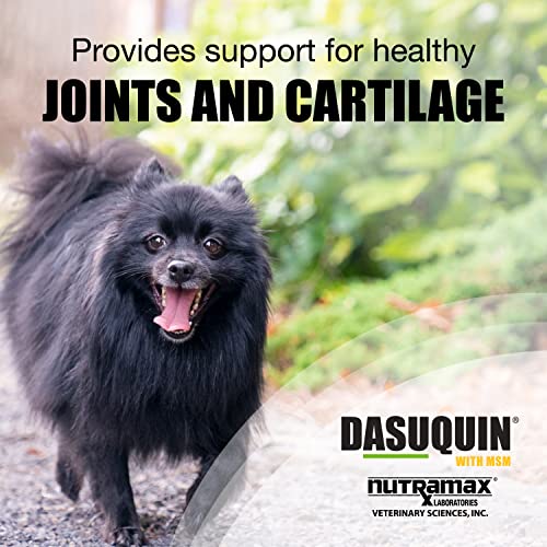 Nutramax Laboratories Dasuquin With MSM Joint Supplement For Dogs - Image 3