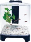 Penn-Plax NuWave Betta Fish Tank Kit 1.5 Gallon