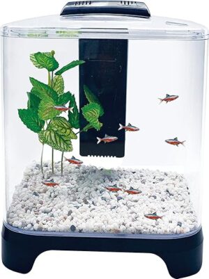 Penn-Plax NuWave Betta Fish Tank Kit 1.5 Gallon