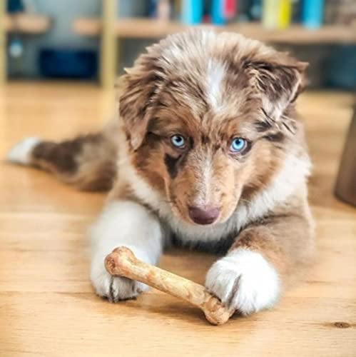 Nylabone Healthy Edibles Natural Dog Chews, X-Small/Petite - Image 3