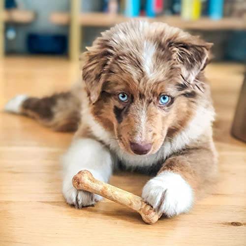 Nylabone Healthy Edibles Natural Puppy Chews, X-Small - Image 2